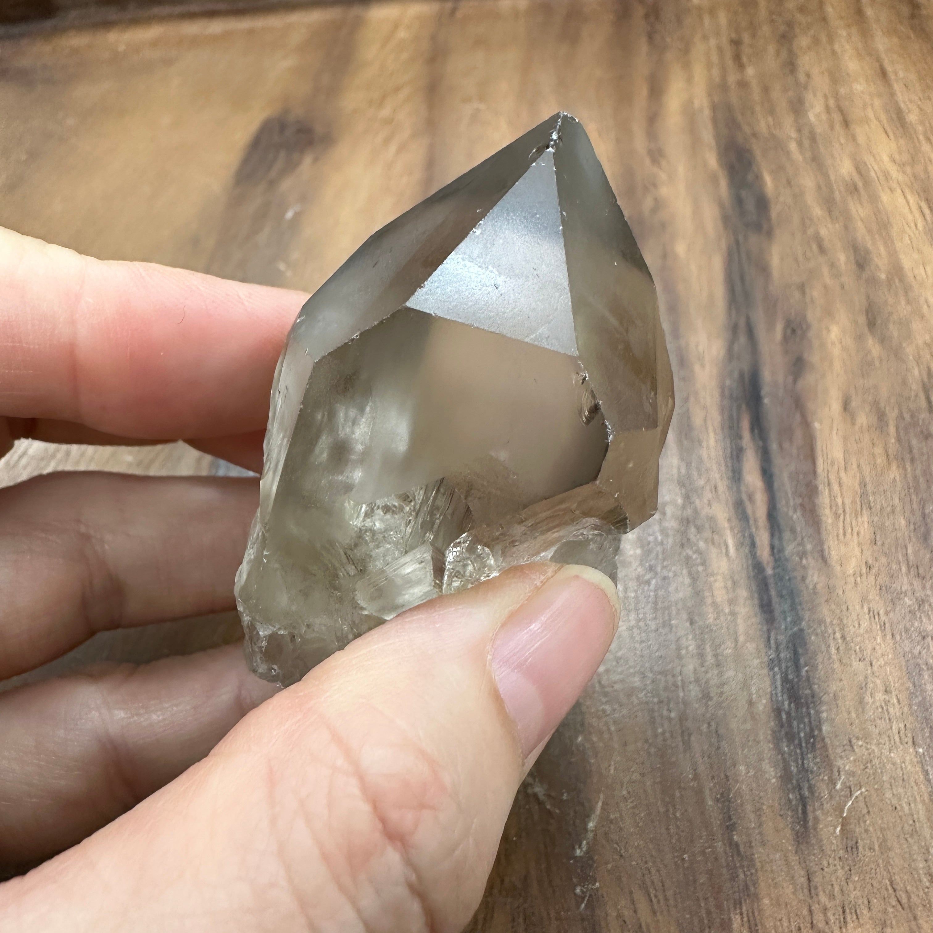 カブラル産スモーキーレムリアン 自立型