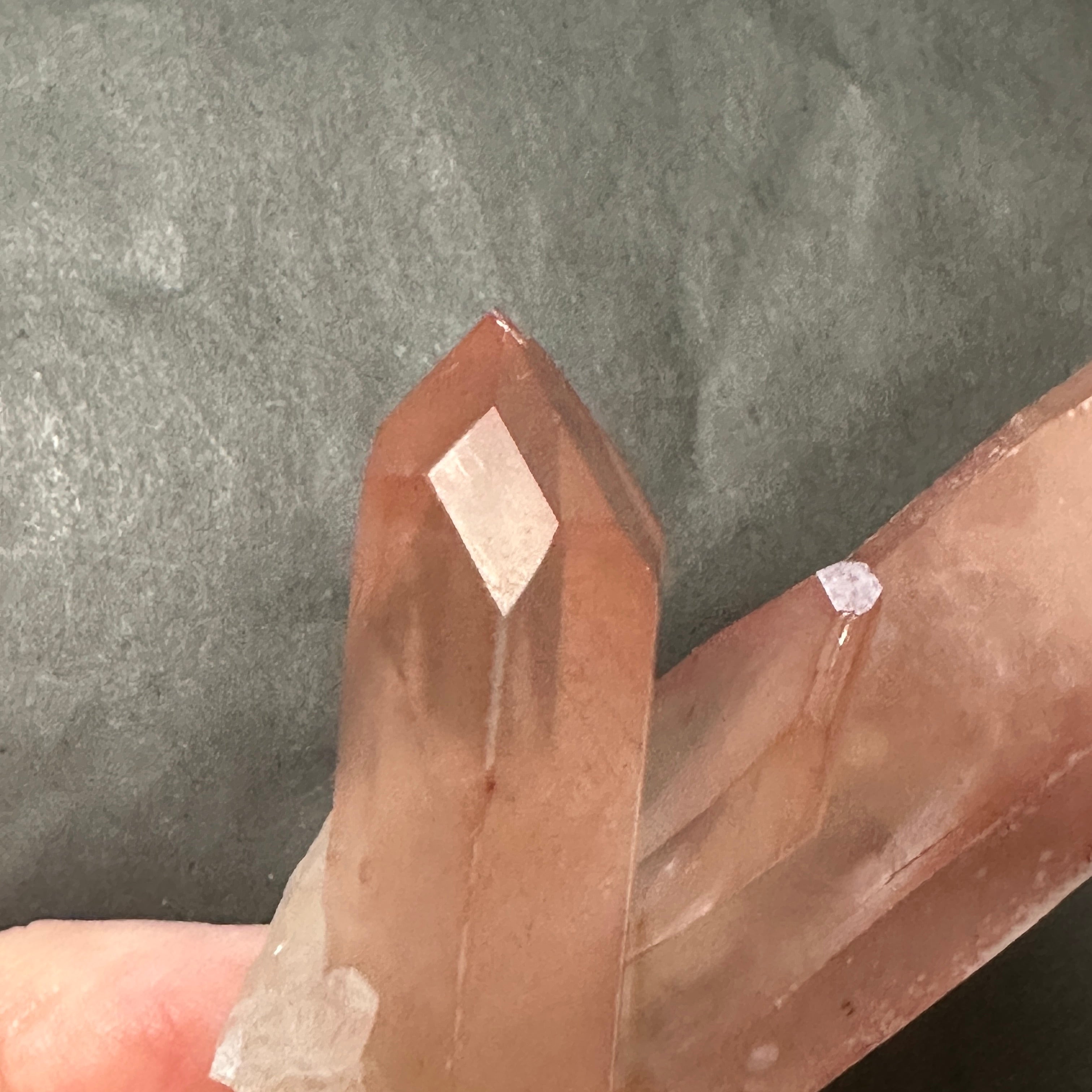 ハイクオリティ、ディープピンクレムリアン ツインフレイム