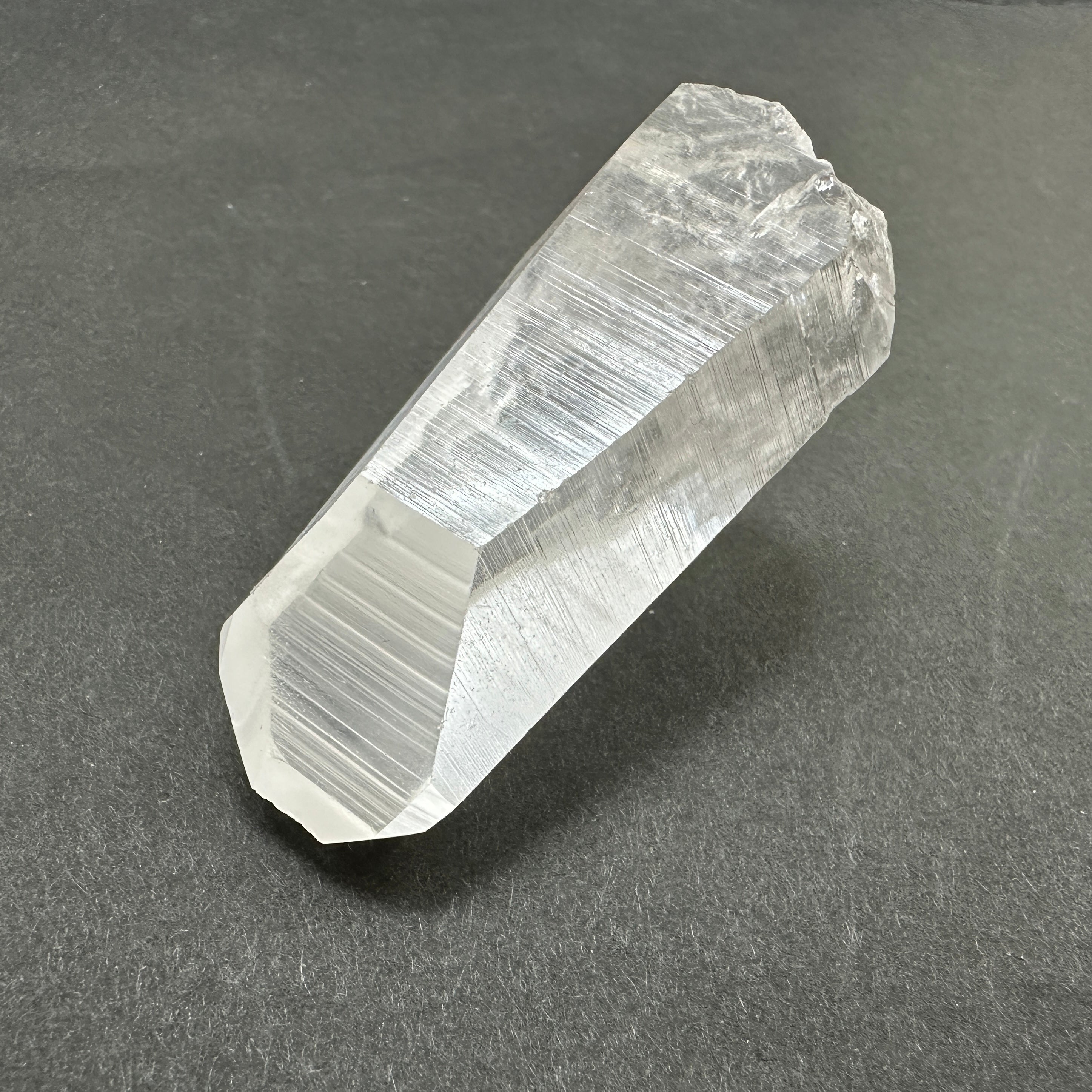 カブラル産レムリアンシード 自立型、グラウンディング、タビー、