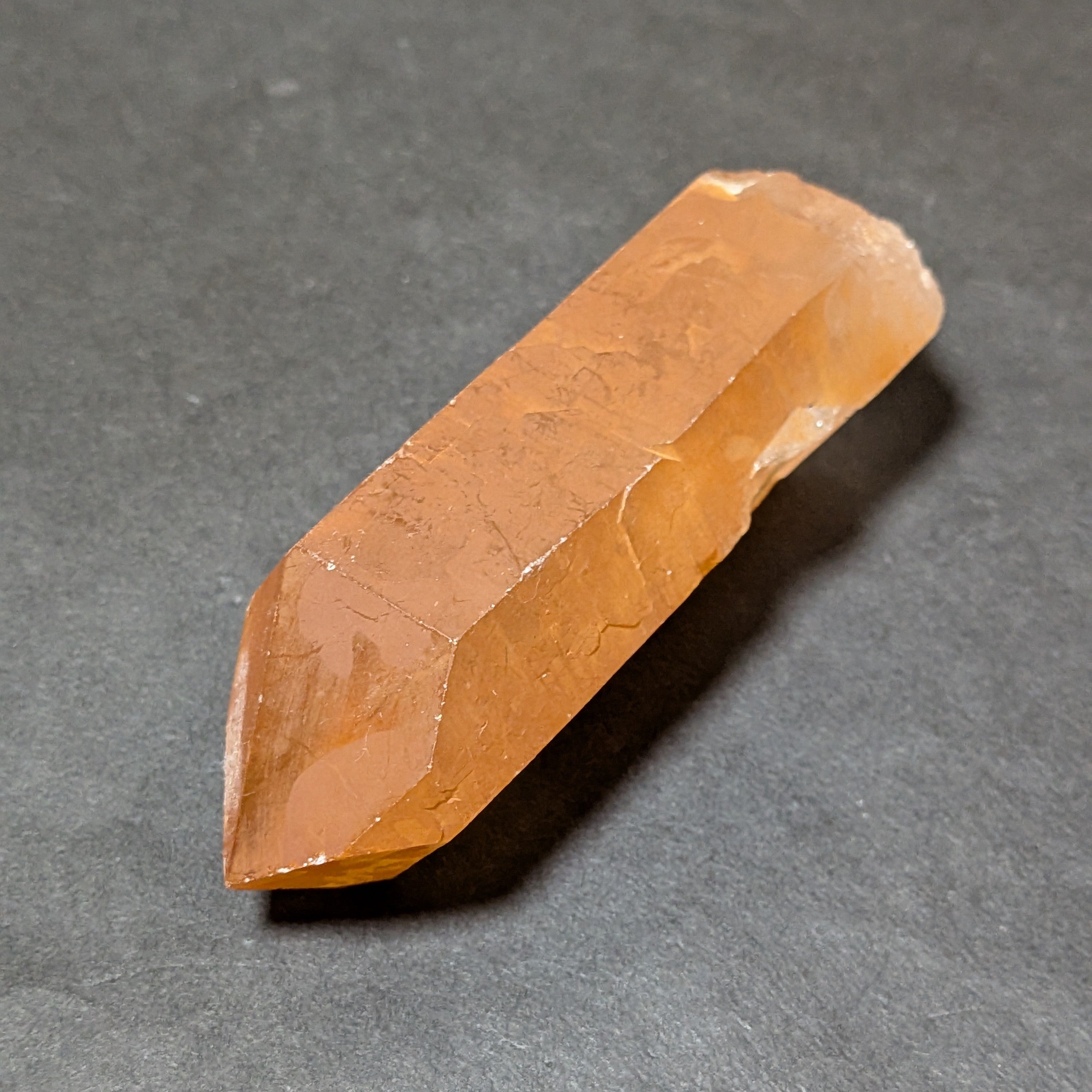 カブラル産ゴールデンレムリアン