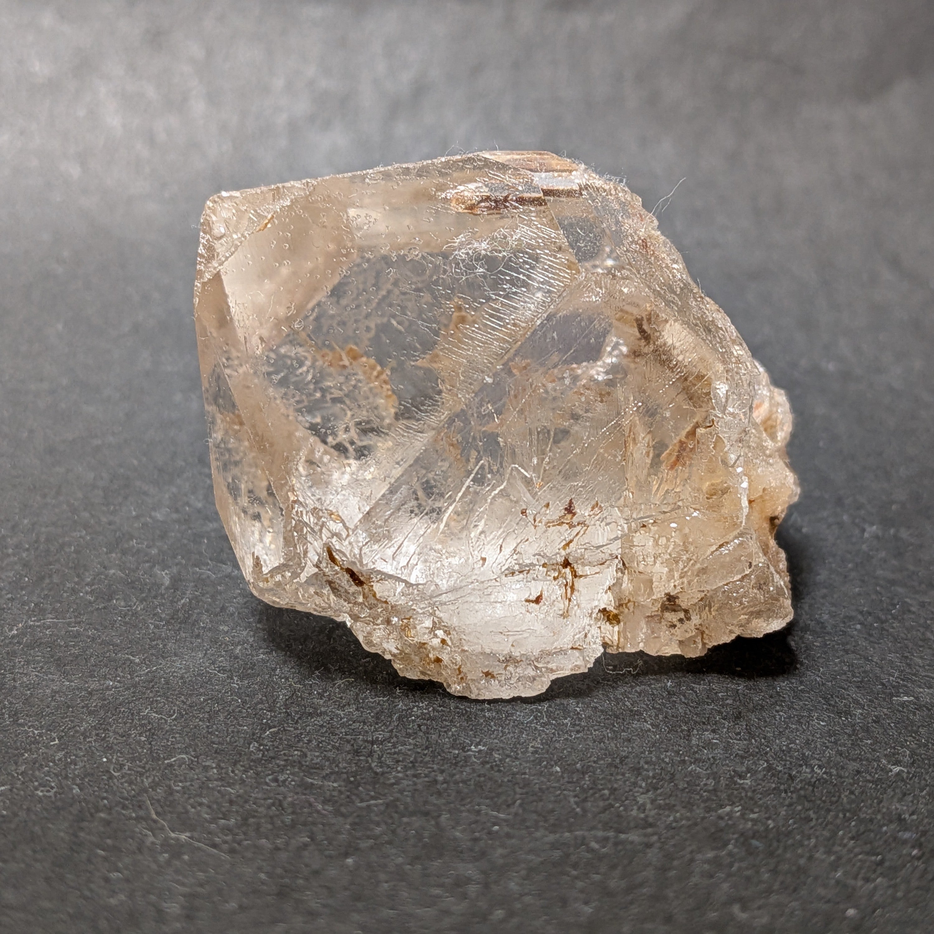 【非研磨モンドクォーツ(オールドストック) プレンティキーパー