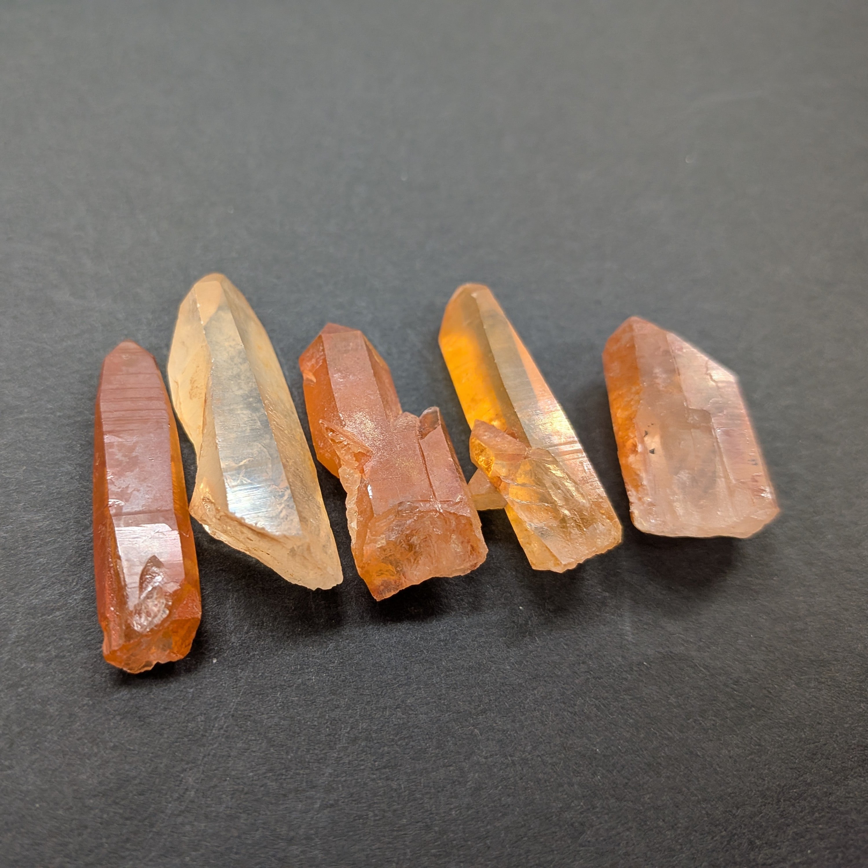 カブラル産ゴールデンレムリアン ミニサイズ5個セット