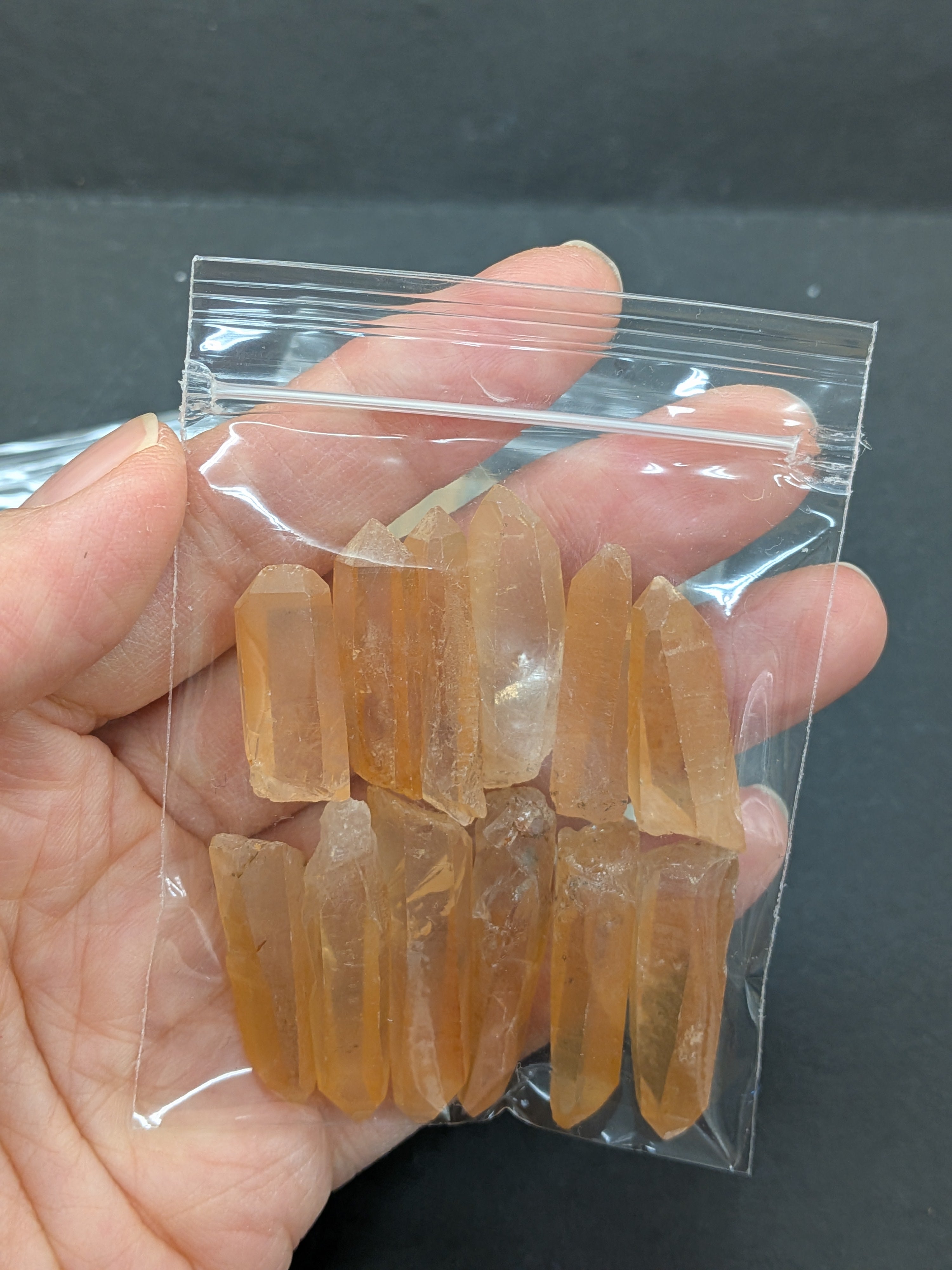 カブラル産ゴールデンレムリアン グリッド用ミニミニサイズ12個セット