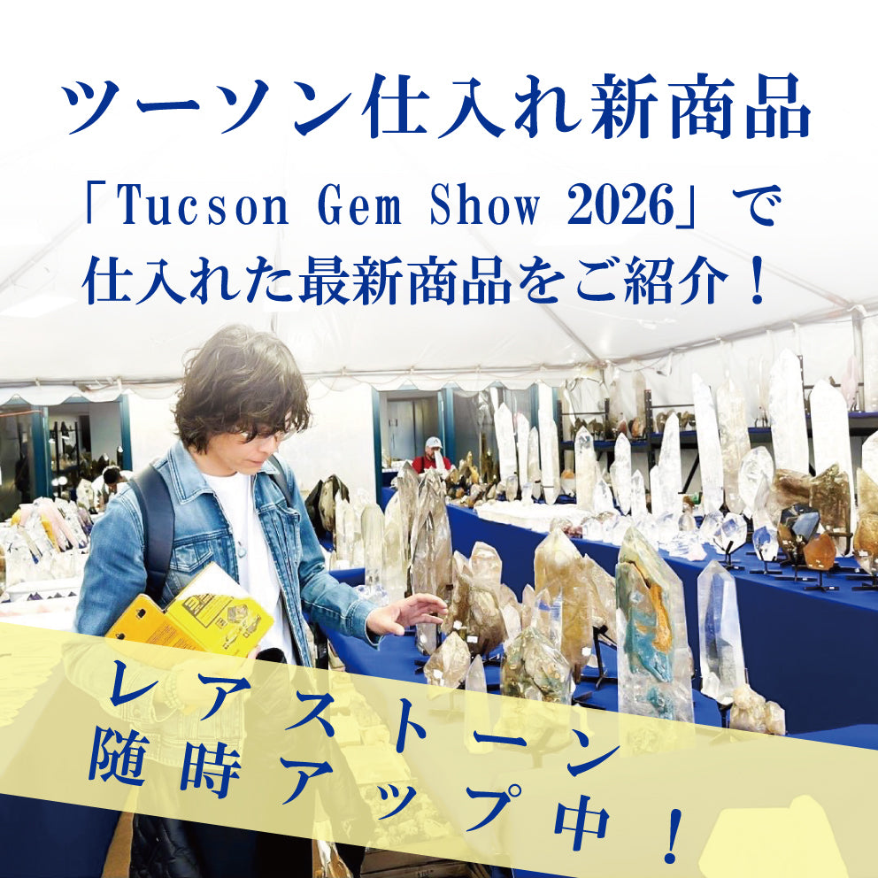 ツーソンショー2026最新商品