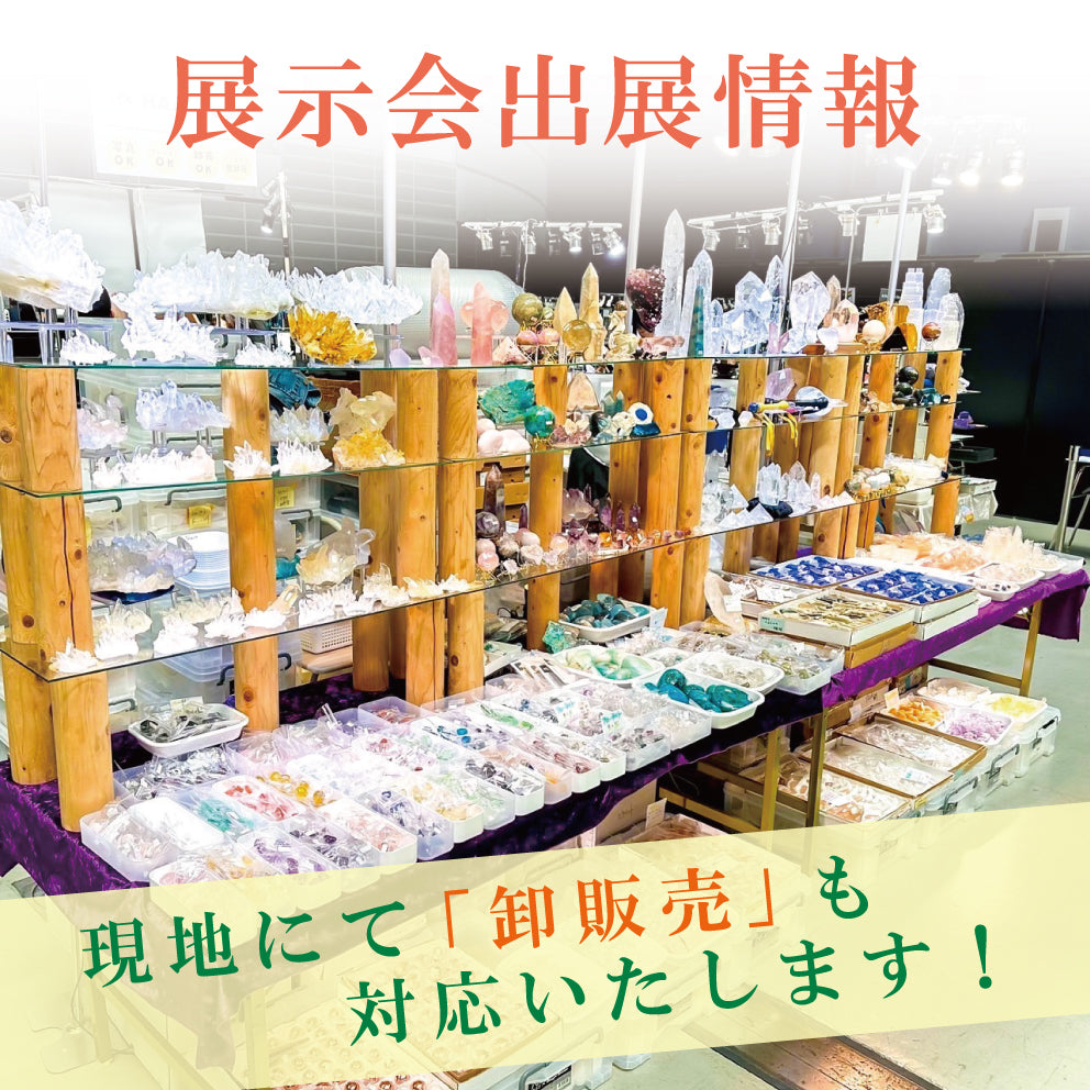 【展示会出展情報】2026年2月