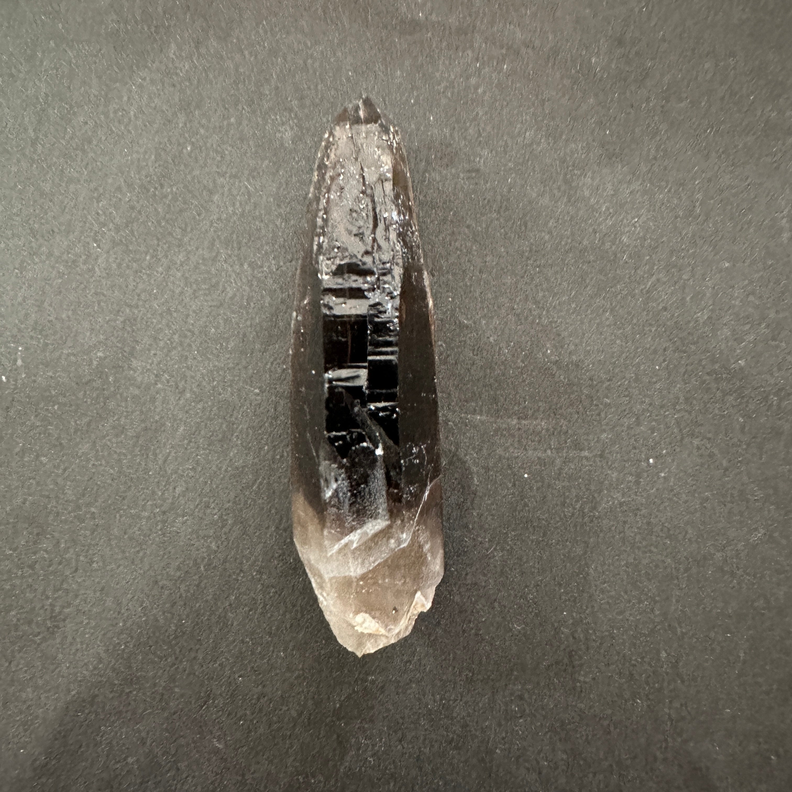 マラウィ産スモーキーカテドラル　スターシード