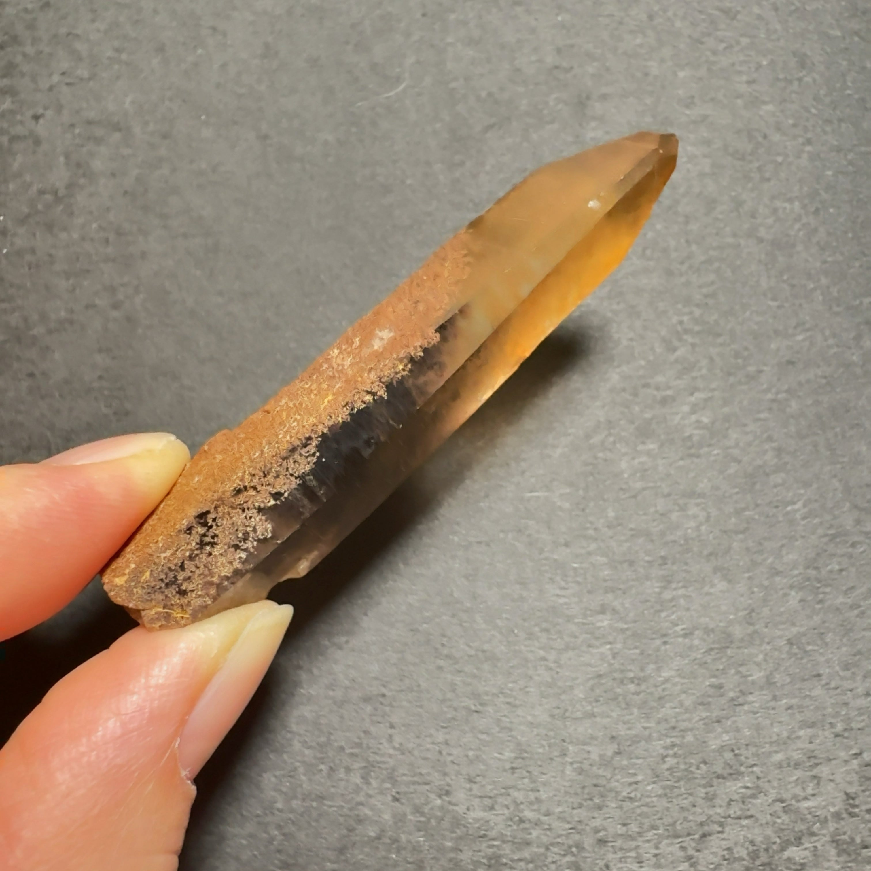 [非研磨]　ゴールデンレムリアンガーデン