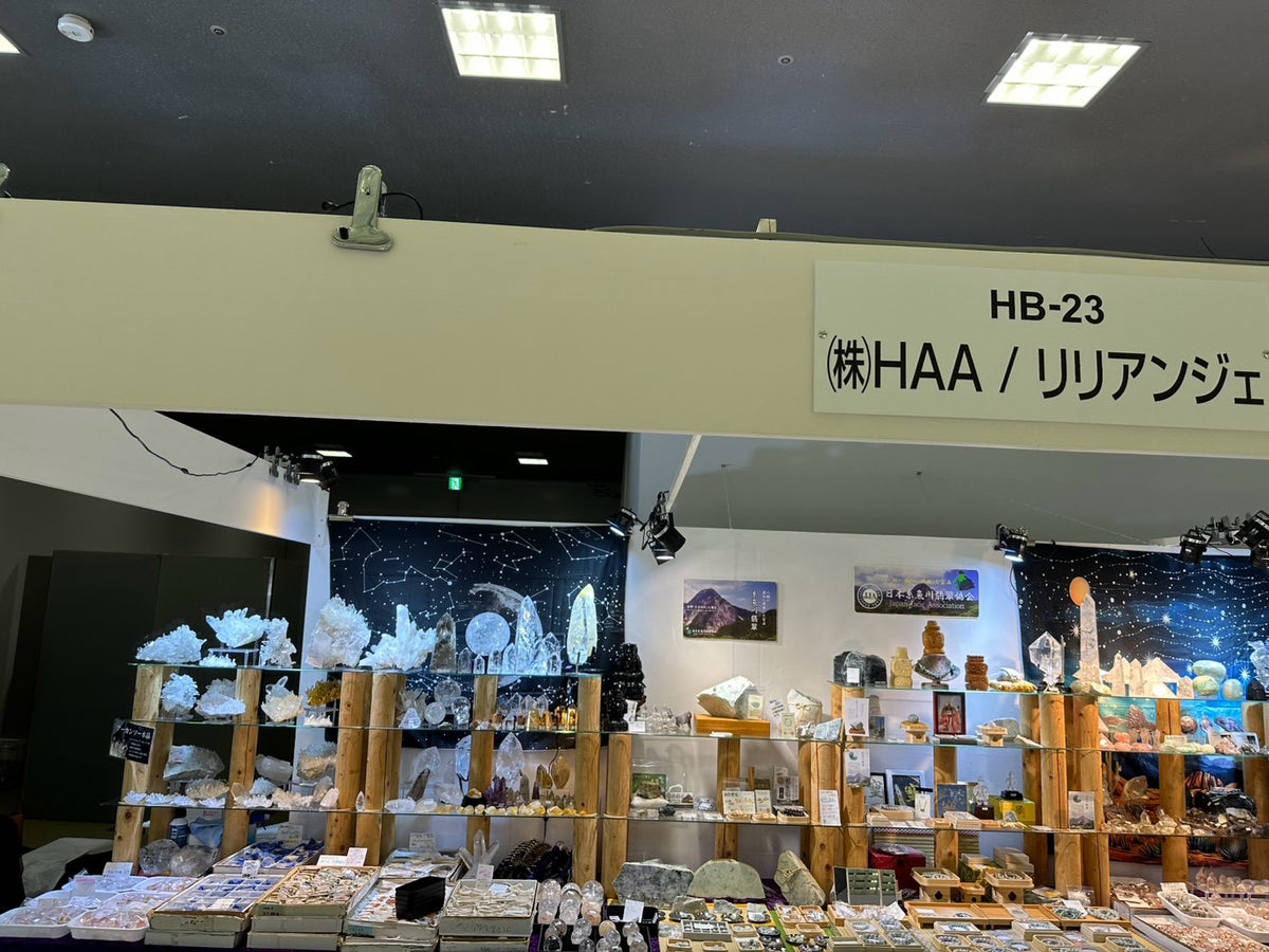 第38回 石ふしぎ大発見展2026（京都ミネラルショー）（1枚目）

