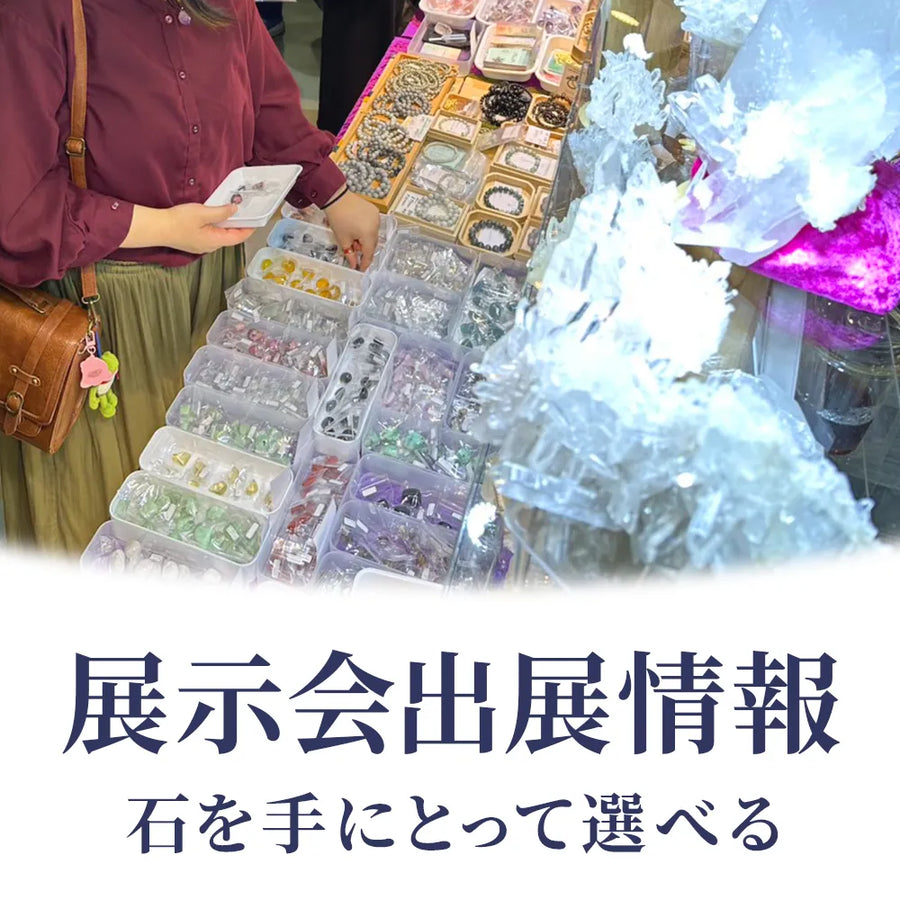 展示会・イベントの出展予定